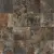 Century Geology 128215 Fossil Grip 50x50