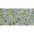 Vallelunga Bloom 6001312 Genus Avio 50x100