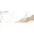 Meissen (Mei) Wild chic 16494 Белый 25x75 Meissen (Mei) Wild chic 16494 Белый 25x75