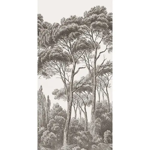 ABK Wide & Style 0009404 Acquaforte A 120x280