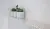 Meissen (Mei) Pret-a-Porter UG2U093D Pret a Porter Flower Grey 75x75 Meissen (Mei) Pret-a-Porter UG2U093D Pret a Porter Flower Grey 75x75