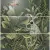 Ape ceramica Silk Set(3) Def Toucan Green Заказ только комплектом из 3 шт 40x120