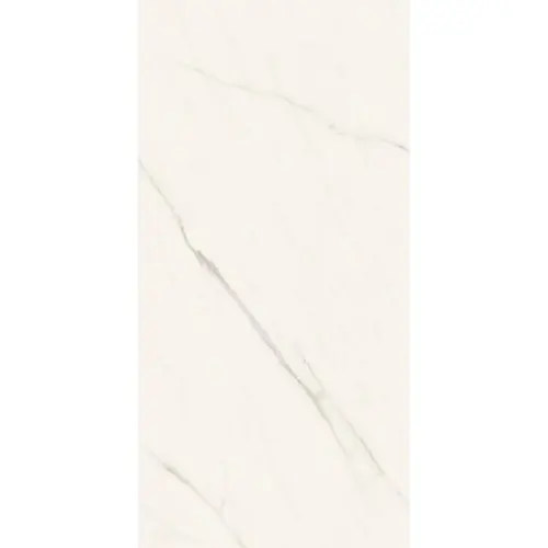 Atlas Concorde Plan AJHB Calacatta Meraviglia Silk12mm St 162x324