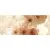 Ceradim Manzano Dec Panno B 20x50