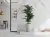 Argenta Tholos 8435592036045 White Matt 60x120 - керамическая плитка и керамогранит Argenta Tholos 8435592036045 White Matt 60x120 - керамическая плитка и керамогранит