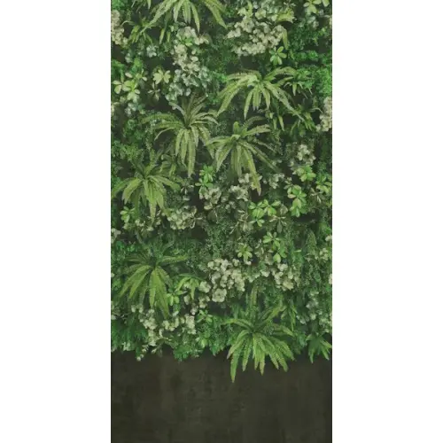 ABK Wide & Style 0007386 Secret Garden Wall 160x320