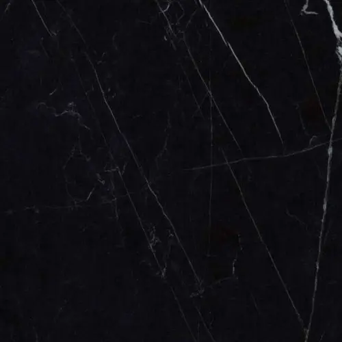 Fmg Select LU668338 Black Marquinia Lucidato 8mm 60x60