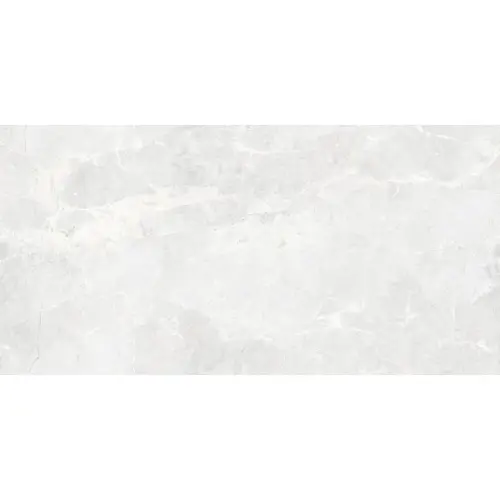 Belleza RS 161 Cement Endless Carving 60x120