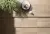 My Plank My Plank
