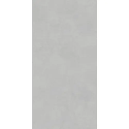 Lasselsberger (LB-Ceramics) Иней Техно 6493-0198 Бетон серый 60x120 - керамическая плитка и керамогранит