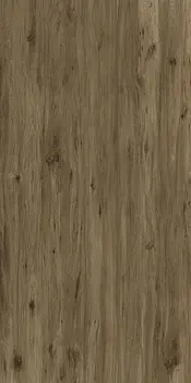 Woods