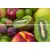 Terracotta Beveled tile TD-BT-P-FR1 Fruits 20x30