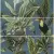 Ape ceramica Silk Set (3) Abc Toucan Blue Заказ только комплектом из 3 шт 40x120