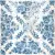 Tuscania Ceramiche Fruhling Dekore Blumen 20x20