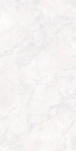 Arcadia Ceramica Arctic CR9018-A White Carving 60x120