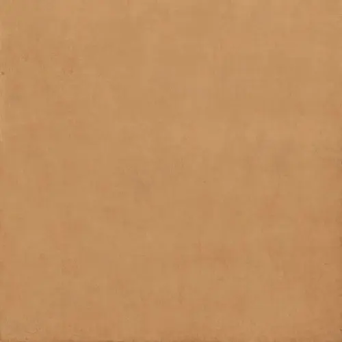 Ariostea Balance IGP66579 Orange Natural Plus 60x60