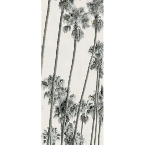 ABK Wide & Style 0009391 Hollywood C 160x320