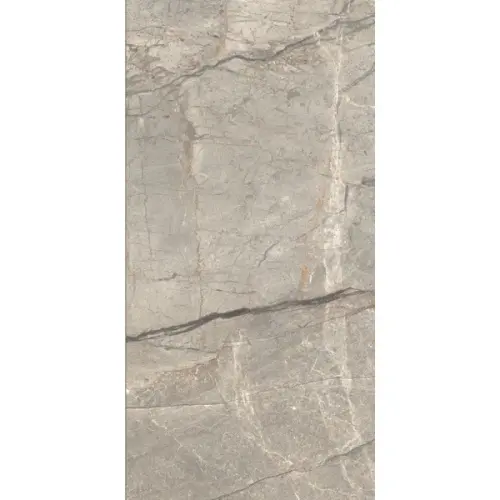 Caesar Anima Futura AIAV Amazing Silver Liscio Matt 60x120 - керамическая плитка и керамогранит