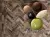 Terre nuove Terre nuove