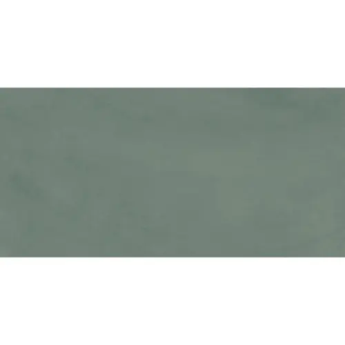Ergon Pigmento ELNX Verde Salvia Silktech Ret 60x120