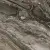 Rex Ceramiche Prexious 755870 Dream Arabesque Glossy R 60x60