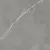 Atlas Concorde Russia Forte Dei Marmi 610010002724 Elegant Grey Lastra 60x60