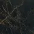 Versace Marble Nero S. Laurent Lap. 240113 2.7x2.7