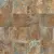 Century Geology 128214 Mars Grip 50x50