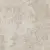 Porcelanite Dos Rapolano 1867 Grey Rectificado 100x100