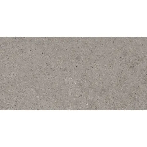 Gres de Aragon Cronos Smooth Gris 60x120