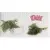 Absolut Keramika Monocolor AK1151 Modern Dill 10x20