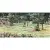 Petracers Grand Elegance Country Life Tennis B 10x20 Petracers Grand Elegance Country Life Tennis B 10x20