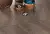 My Plank My Plank