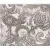 Azori Sfumato Grey Paisley 40.2x50.5