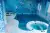 Imagine Lab Хамамы, бассейны и авантюрин Bora Bora L 30,4x30,4