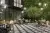 Фреджио Фреджио