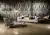 Roberto Cavalli Home Metal Soul 0500701 Platinum Lapp 80x180 Roberto Cavalli Home Metal Soul 0500701 Platinum Lapp 80x180