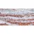 ITC Sarrizo Decor Natural High Glossy 60x120 ITC Sarrizo Decor Natural High Glossy 60x120