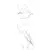 Adicon Slab Statuario Pearl Polished 80x240