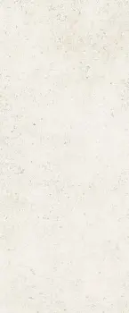 8206