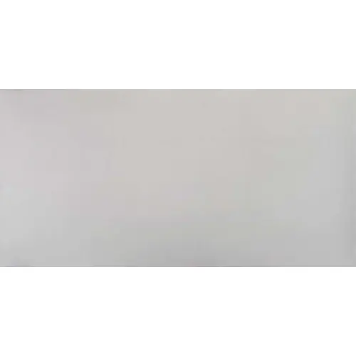 Bonaparte Porcelain Tile Studio Light Grey Polish 60x120