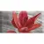Absolut Keramika Monocolor Mix Flowers RBW 7 7.5x15