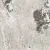 Casa Dolce Casa Onyx&More 766012 Silver Blend Satin 6mm Ret 80x80 Casa Dolce Casa Onyx&More 766012 Silver Blend Satin 6mm Ret 80x80