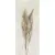Caesar Deco Solutions AGUI Pampa Faccia B 120x278