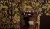 Bisazza Decori 10 06001690VL Charlottenberg A 129.1x290.5
