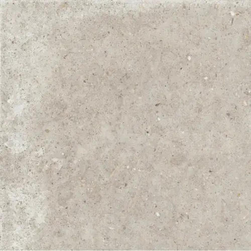 Ariana Anima 0006056 Beige Nat Ret 60x60 - керамическая плитка и керамогранит
