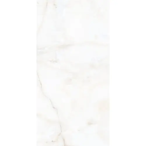A-Ceramica 60x120 Antisky 2 Polished 9mm 60x120