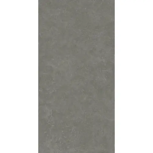 Kerama Marazzi Касабланка KM6012G0091R RP Серый Тёмный Матовый Обрезной 60x119,5