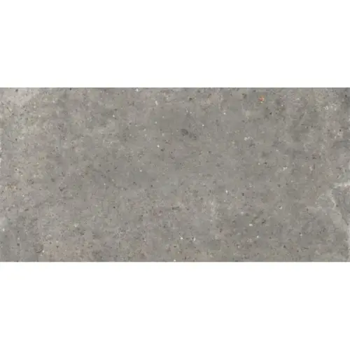 Ariana Plein Air 0006355 Anima Fango R11 Ret 60x120 - керамическая плитка и керамогранит