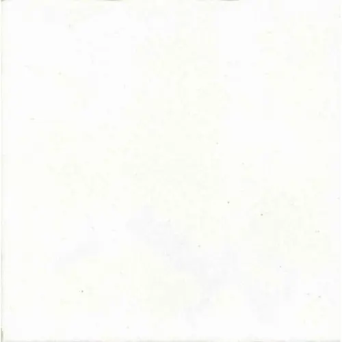 Revoir Paris Atelier DCR1010_012 Blanc De Lin Mat 10x10